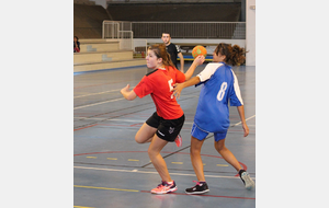 6a8ed2816b2d7_IMG3509.JPG