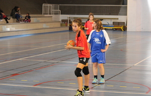 6a8ed2828c27c_IMG3512.JPG