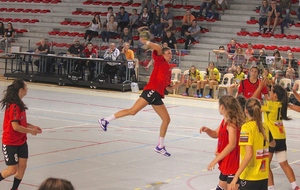 6a8ed4544be5b_IMG3315.JPG