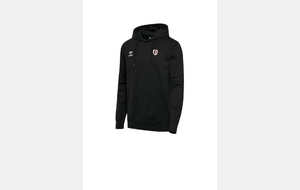 Sweat capuche gamme GO 2.0